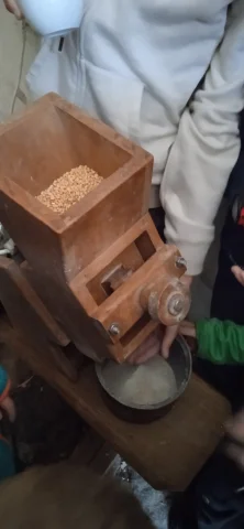 Mletí obilí na starém ručním mlýnku