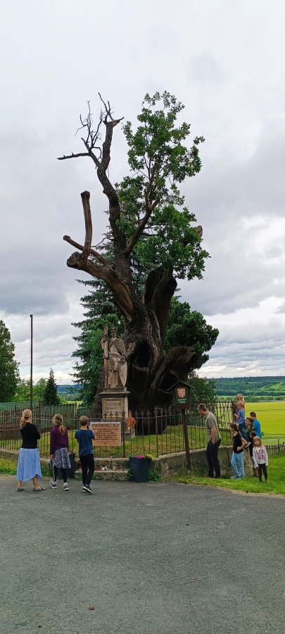 Stochov a Svatováclavský dub
